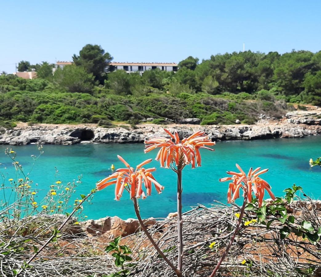 시우타데야 Atico Playa Santandria Con Piscina Y Wifi 빌라 외부 사진
